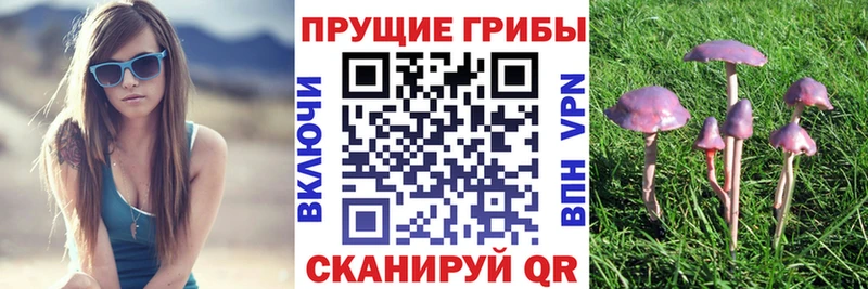 Галлюциногенные грибы ЛСД как найти Королёв